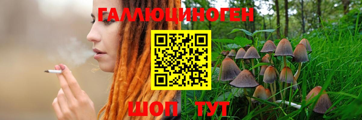 Псилоцибиновые грибы мицелий  Псилоцибиновые грибы мицелий  Вход с VPN  как найти закладки  Сокол 